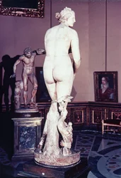 Die Medici Venus, griechisch, frühes 3. Jahrhundert v. Chr.